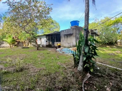 Fazenda / Sítio / Chácara com 3 Quartos à venda, 15000m² no Jamaica (Interior), Itanhaém