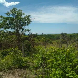 Terreno / Lote / Condomínio à venda, 450m² no , Pitimbu