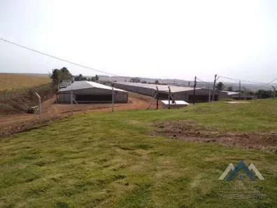Fazenda / Sítio / Chácara com 2 Quartos à venda, 151m² no Rural, Alvorada do Sul
