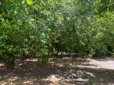 Terreno / Lote / Condomínio à venda, 1000m² no Busca Vida (Abrantes), Camaçari