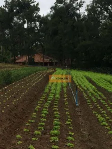 Fazenda / Sítio / Chácara com 8 Quartos para alugar, 450m² no Ipelândia, Suzano