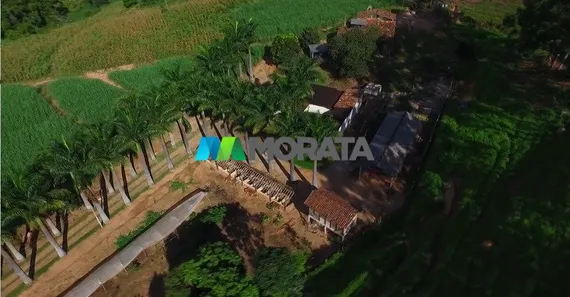 Fazenda / Sítio / Chácara com 4 Quartos à venda, 53m² no Centro, Viçosa