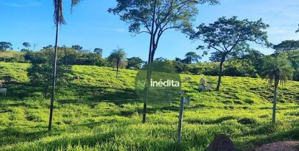 Fazenda / Sítio / Chácara à venda, 10648000m² no , Padre Bernardo