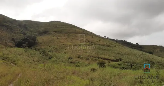 Fazenda / Sítio / Chácara à venda, 380000m² no , Chã Grande
