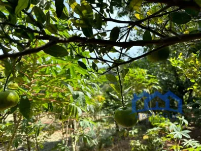 Fazenda / Sítio / Chácara com 3 Quartos à venda, 1000m² no , Mairinque