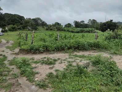 Terreno / Lote / Condomínio à venda, 20000m² no , Fortuna de Minas
