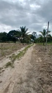 Fazenda / Sítio / Chácara com 2 Quartos à venda, 31000m² no , Tanguá