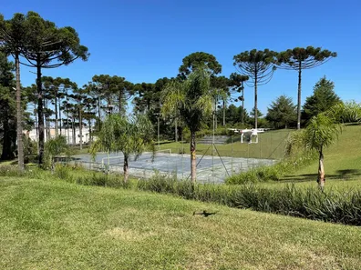 Fazenda / Sítio / Chácara à venda, 9048m² no Guarani, Colombo