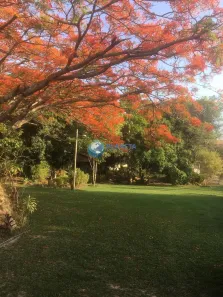 Fazenda / Sítio / Chácara com 3 Quartos à venda, 20000m² no Comunidade Sítio Teresópolis, Santa Luzia