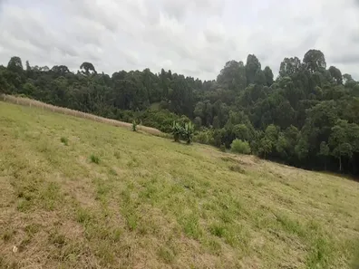 Fazenda / Sítio / Chácara com 2 Quartos à venda, 20000m² no Centro, Araucária
