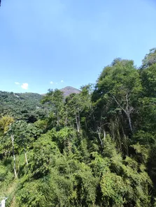 Apartamento com 2 Quartos à venda, 65m² no Nogueira, Petrópolis