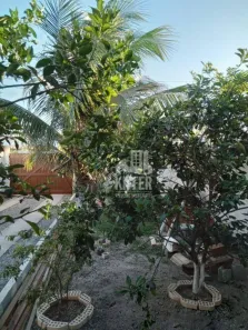 Casa com 3 Quartos à venda, 146m² no , Arraial do Cabo