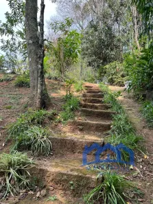 Fazenda / Sítio / Chácara com 4 Quartos à venda, 4200m² no , Mairinque