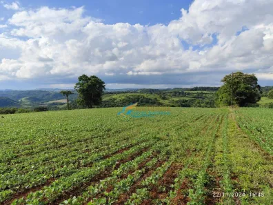 Fazenda / Sítio / Chácara à venda, 72600m² no , Catanduvas