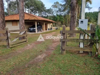 Fazenda / Sítio / Chácara com 2 Quartos à venda, 180m² no Piriquitos, Ponta Grossa