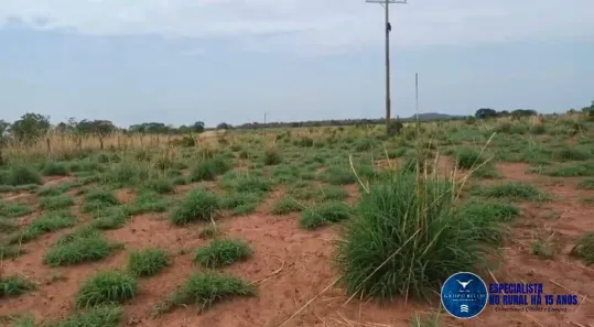 Terreno / Lote / Condomínio à venda, 192m² no Setor Central, Ponte Alta do Tocantins