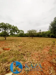 Fazenda / Sítio / Chácara com 2 Quartos à venda, 60000m² no Residencial Alvorada, Novo Gama
