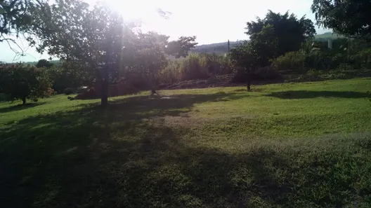 Fazenda / Sítio / Chácara com 5 Quartos à venda, 500m² no Buru, Salto