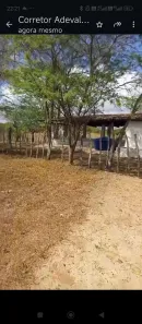 Fazenda / Sítio / Chácara com 4 Quartos à venda, 150000m² no , Feira Nova