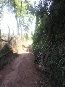 Terreno / Lote / Condomínio para alugar, 1m² no Estrela e Kanashiro, Araraquara