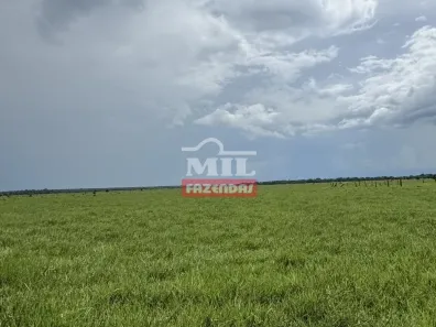 Fazenda / Sítio / Chácara à venda, 500m² no , Formoso do Araguaia
