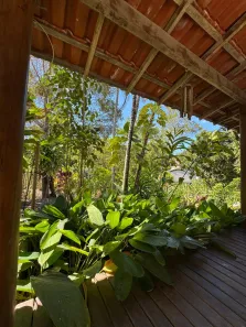 Casa com 1 Quarto à venda, 516m² no Trancoso, Porto Seguro
