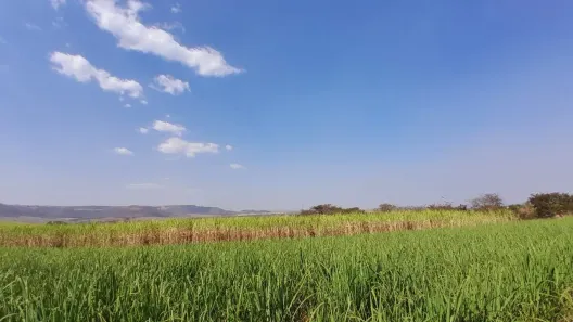 Terreno / Lote / Condomínio à venda, 5000m² no , Cravinhos
