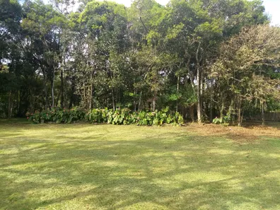 Terreno / Lote / Condomínio à venda, 1783m² no Vila da Gloria, São Francisco do Sul