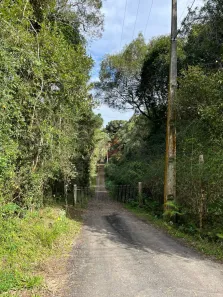 Fazenda / Sítio / Chácara à venda, 20445m² no Alphaville Graciosa, Pinhais
