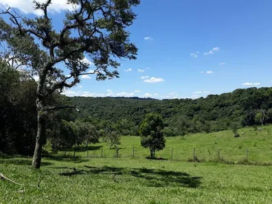 Fazenda / Sítio / Chácara à venda, 133100m² no , Vargem Grande Paulista