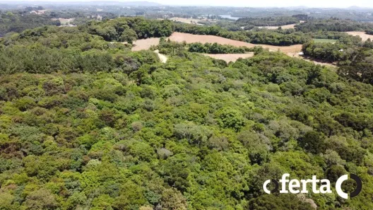Fazenda / Sítio / Chácara à venda, 23475m² no Porto das Laranjeiras, Araucária