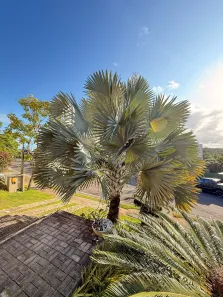 Casa de Condomínio com 3 Quartos à venda, 380m² no Alphaville (Abrantes), Camaçari