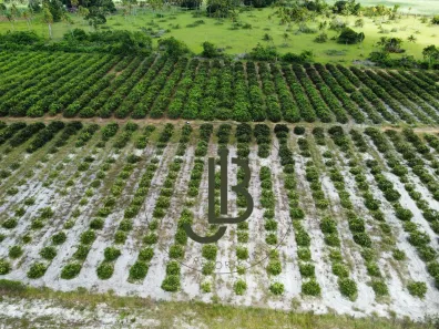 Fazenda / Sítio / Chácara com 2 Quartos à venda, 100m² no Centro, Alhandra