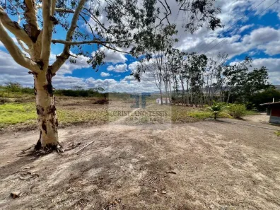 Fazenda / Sítio / Chácara com 6 Quartos à venda, 296000m² no Centro, Gravatá