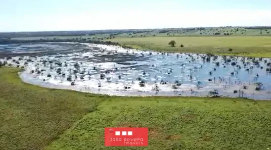 Fazenda / Sítio / Chácara à venda, 14689400m² no , Formoso do Araguaia