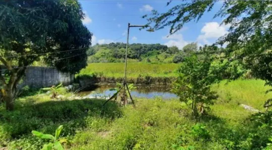 Fazenda / Sítio / Chácara com 2 Quartos à venda, 340m² no , Conde