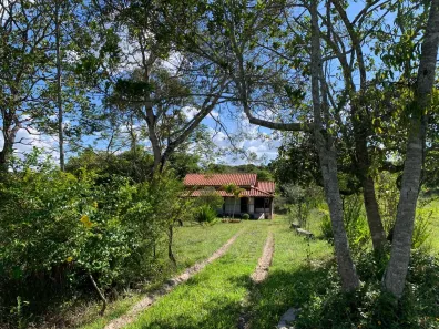 Fazenda / Sítio / Chácara com 3 Quartos à venda, 22000m² no , Santa Luzia