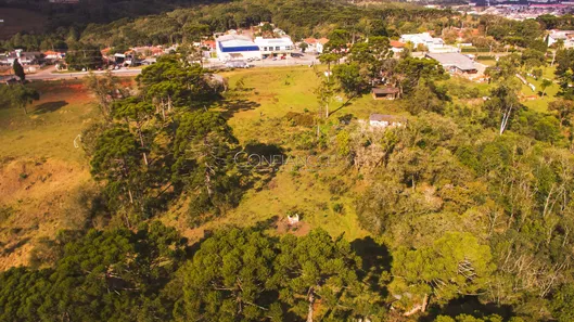 Terreno / Lote / Condomínio à venda, 49047m² no , Campina Grande do Sul