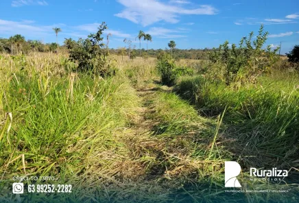 Fazenda / Sítio / Chácara à venda, 1911m² no , Guaraí