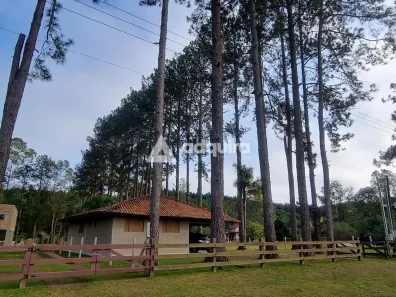 Fazenda / Sítio / Chácara com 2 Quartos à venda, 180m² no Piriquitos, Ponta Grossa
