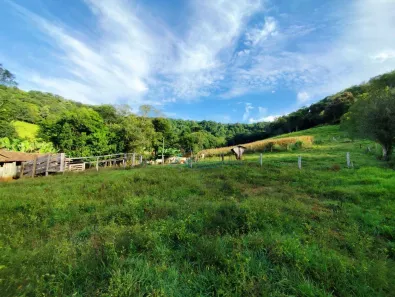 Fazenda / Sítio / Chácara com 2 Quartos à venda, 242000m² no , Catanduvas
