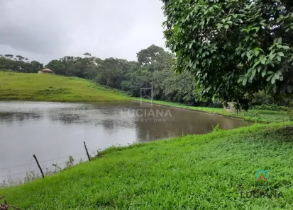 Fazenda / Sítio / Chácara com 4 Quartos à venda, 140000m² no Alpes Suiços, Gravatá