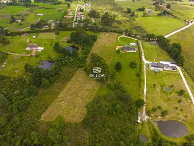 Terreno / Lote / Condomínio à venda, 20000m² no São Luiz do Purunã, Balsa Nova