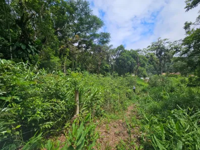 Terreno / Lote / Condomínio à venda, 2400m² no Antonina, Antonina