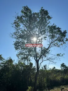Terreno / Lote / Condomínio à venda, 6000m² no Cidade Jardim Parque Estoril, Nova Iguaçu