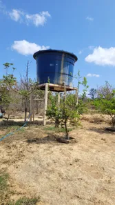 Fazenda / Sítio / Chácara com 3 Quartos à venda, 170000m² no , Padre Bernardo