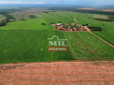Fazenda / Sítio / Chácara à venda, 500m² no Setor Central, Ponte Alta do Tocantins