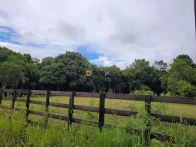 Fazenda / Sítio / Chácara com 1 Quarto à venda, 24200m² no Felpudo, Campo Largo