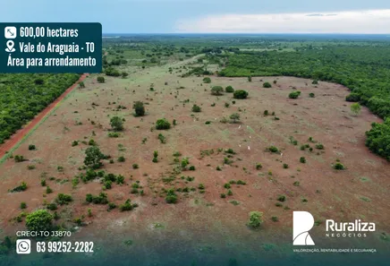 Fazenda / Sítio / Chácara à venda, 600m² no , Pium