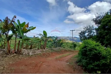 Fazenda / Sítio / Chácara com 2 Quartos à venda, 16200m² no , Bom Jardim
